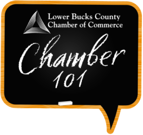 Chamber101 Logo