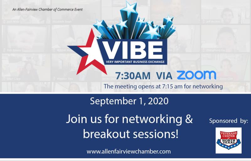 VIBE Morning Networking