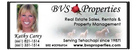 BVS Properties