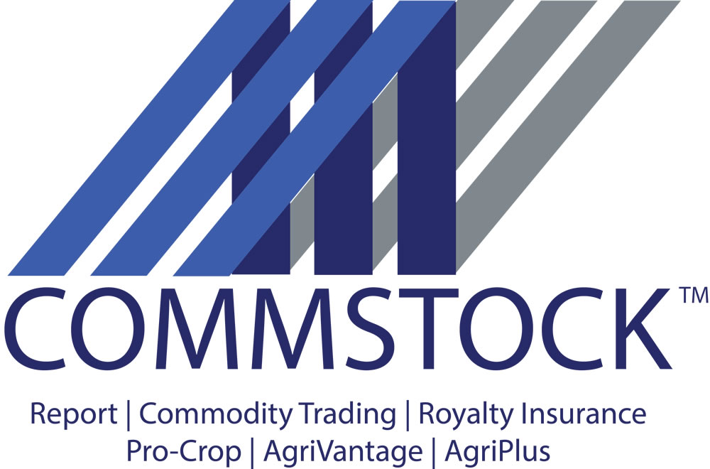 CommStock Investments