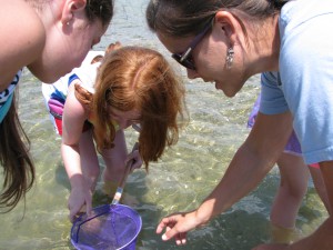 Discover Marine Life Summer Program
