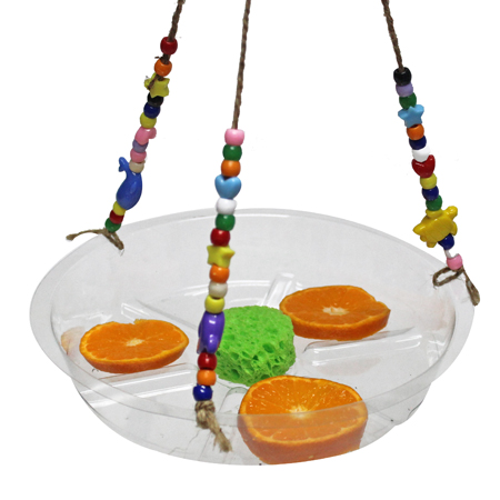 Super Sprouts Kids Club: Butterfly Feeder