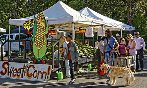 Corn Festival - Birmingham Farmers Market