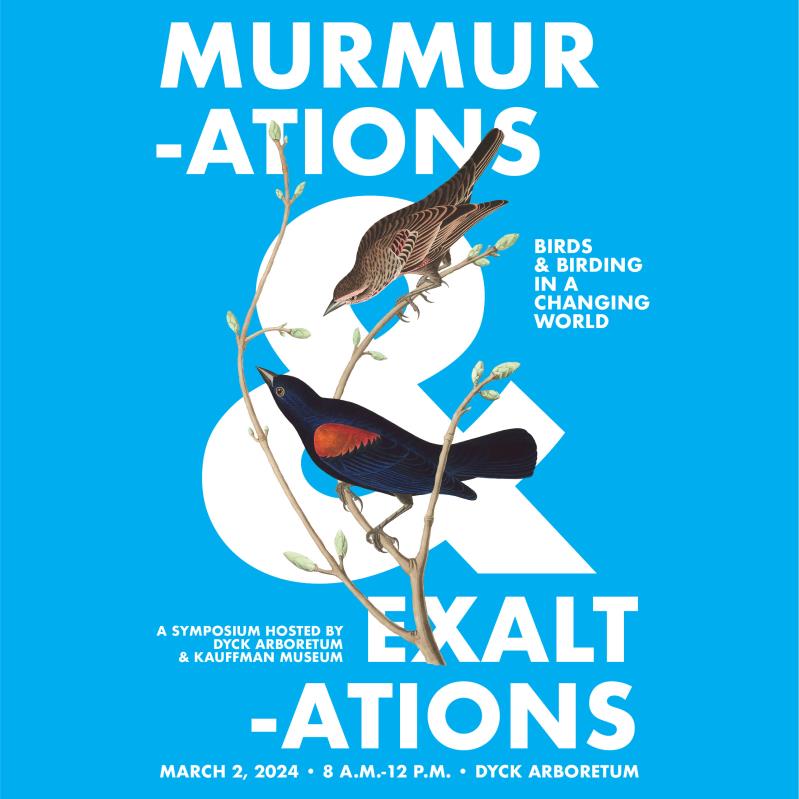 Murmurations & Exaltations: Birds & Birding in a Changing Wo