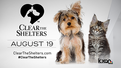 CLEAR THE SHELTERS at PAWS Shelter of Central Texas