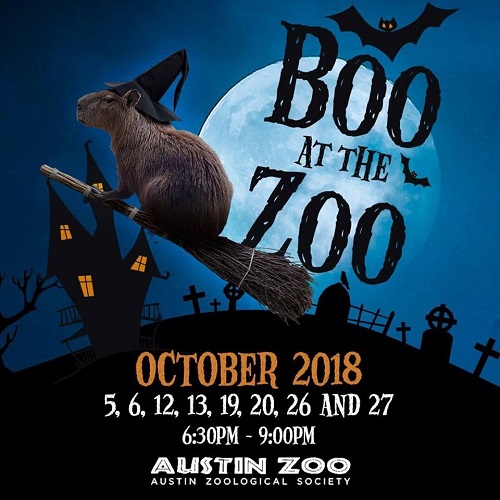 Austin Zoo's Boo at the Zoo!