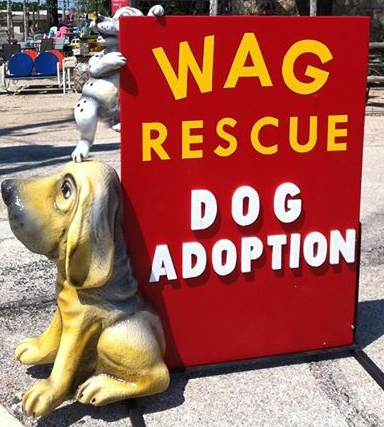 WAG Rescue Adoption Day