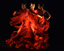 Flamenco Vivo/Carlota Santana