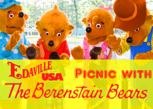 Picnic with Berenstain Bears