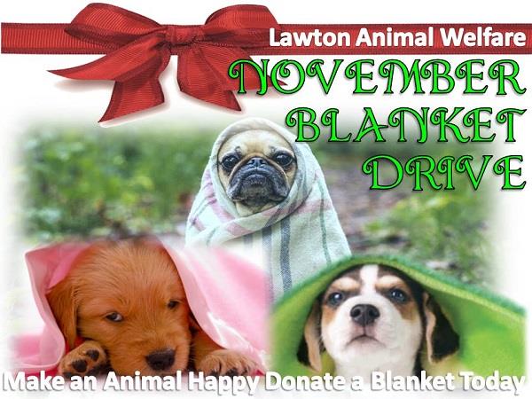 November Blanket Drive