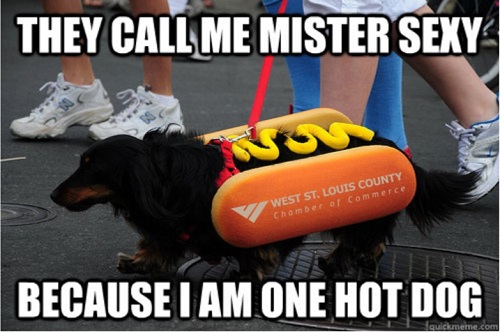National Hot Dog Day