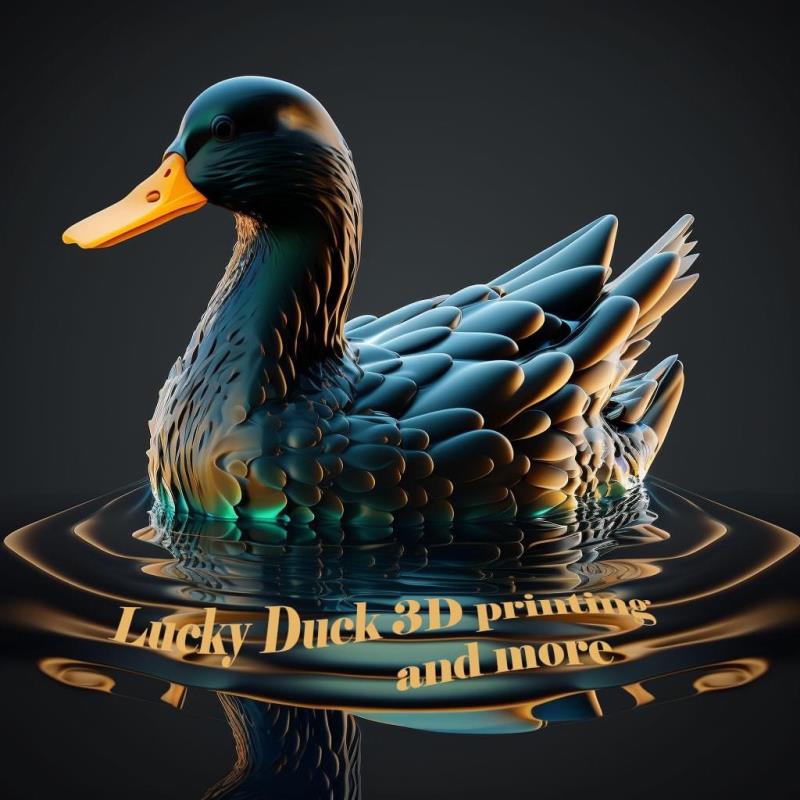 Lucky Duck 3d Printing and More