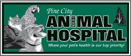 Pine City Animal Hospital