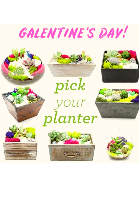 Galentine's Day Plant Nite at Fall Creek Driftwood